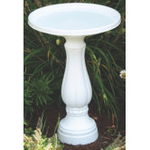 Promo Bird Bath