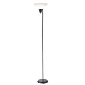 Swivel  Floor Lamp