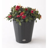 Vista Resin Wicker Round Planter