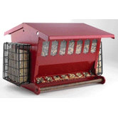 Seeds N More Bird Feeder