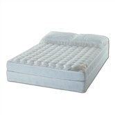 Expressions Water Mattress Set