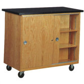Mobile Balance Storage Cabinet