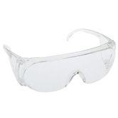 Visitor&trade; Safety Glasses - visitor spectacles premium protection for plant