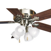 Four Light Branched Ceiling Fan Light Kit
