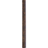 Air Pro 24" Fan Downrod in Corinthian Bronze