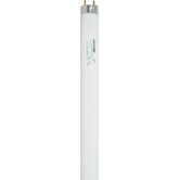 T8 32 Watt Fluorescent Bulb with 3500K Color Temperature