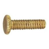 12 Fitter Screws in Polished Brass