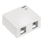 QuickPort 2 Port Surface Mount Housingin White