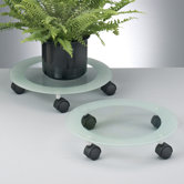 Pflanzenroller aus Glas in Transparent