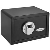 Mini BioMetric Key Lock Wall Safe