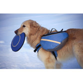 Extreme Dog Backpack in Blue and Gray