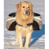 Extreme Dog Backpack in Gray and Black
