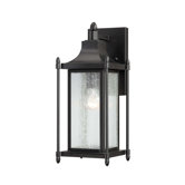 Dunnmore 1 Light Outdoor Wall Lantern