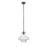 1 Light Pendant