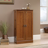 Camden County Audio/Video Multimedia Cabinet