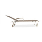 Pool Side Chaise Lounge