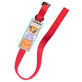 Aspen Pets Nylon Dog Collar in Red