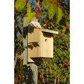 Chickadee Joy Box Bird House