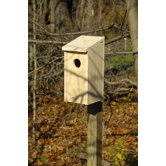 Flicker Bird House