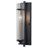 Ethan One Light Wall Sconce in Brushed Steel