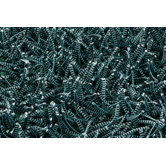 Electric Turquoise Rug