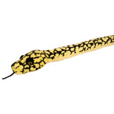 Snake Jungle Carpet Pythin