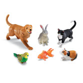 Jumbo Domestic Pets