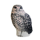 Owl Mini Cushion
