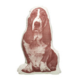Fauna For Pet People