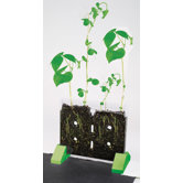 GeoSafari Sprout and Grow Window
