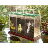 See-Through Compost Container