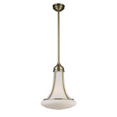 1 Light Schoolhouse Pendant