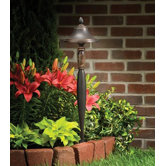 Downlight Outdoor Path Light in Olde Bronze