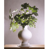 Bianco Vase