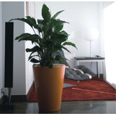 Fang Cono Alto Lacquered Round Flower Pot Planter