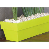 Fang Conic Jardiniere Lacquered Rectangular Flower Pot Planter