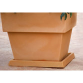 Fang Square Plate