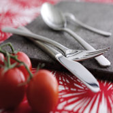 Steel Line Flatware Collection