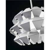 Agave 2 Light Wall Sconce