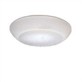Delphinia Wall or Ceiling Flush Mount