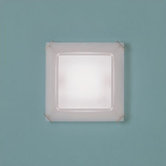 Atreo Wall or Ceiling Flush Mount