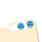 Print/Write Self-Adhesive Removable Labels, 3/4 dia, Lt Blue, 1008/Pack