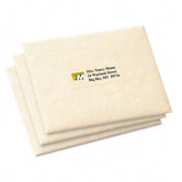 Address Labels for Ink Jet Printers, 1 x 2-5/8, Clear, 300/Pack