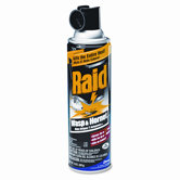 Raid Wasp and Hornet Killer, 14-Oz. Aerosol Can