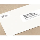 2-Up Labelwriter Address Labels, 700 Lbls/Roll, 1 Roll
