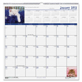 Kittens Wall Calendar