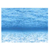 Fadeless 48 X 12 Under The Sea 4 pk