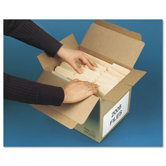 Double Window Security Tinted Check Envelope, 1000/Box