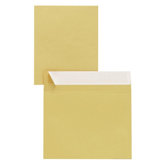 Mailer W/Flap-Stik, Plain, 40Lb, 9-1/2"x12-1/2", 100 per Box, Kraft