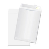 Survivor Plus Tyvek Bubble Mailer (25 Count)